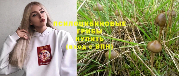 метамфетамин Белокуриха