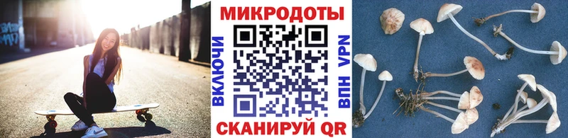 Галлюциногенные грибы GOLDEN TEACHER Купить Геленджик